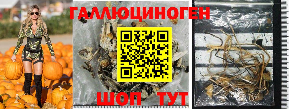 Псилоцибиновые грибы GOLDEN TEACHER  Галлюциногенные грибы Cubensis  Вход с VPN  Камышин 